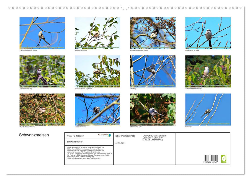 Schwanzmeisen (CALVENDO Wandkalender 2025)