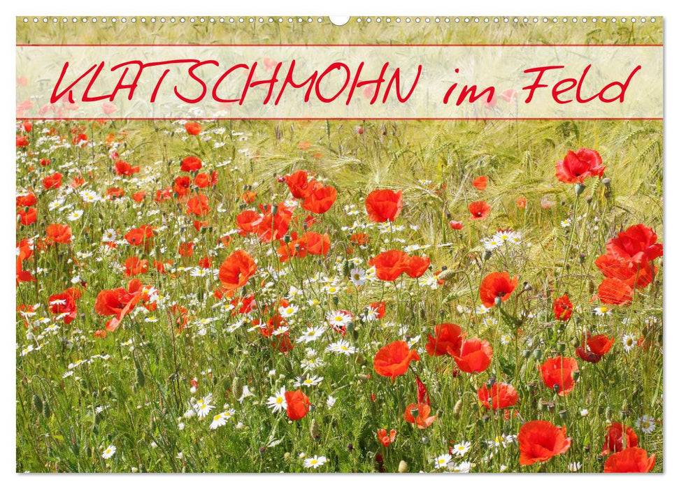 Klatschmohn im Feld (CALVENDO Wandkalender 2025)