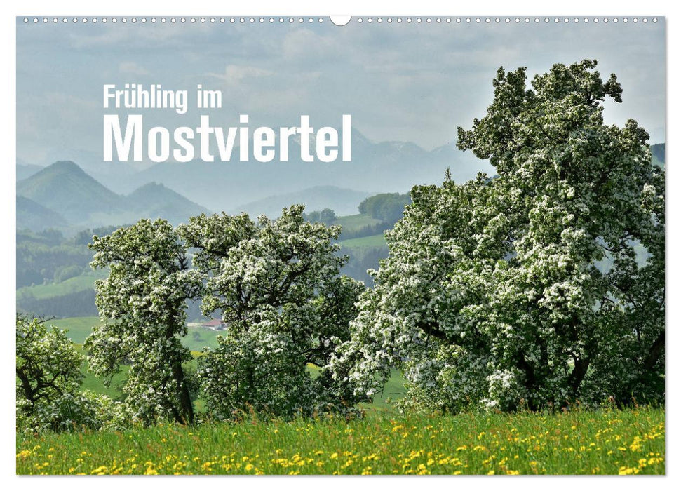 Frühling im Mostviertel (CALVENDO Wandkalender 2025)