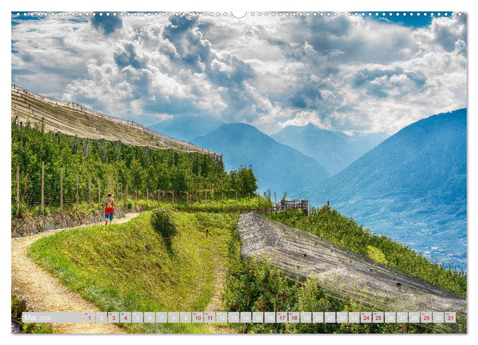 Route 44. Timmelsjoch, Südtirol (CALVENDO Wandkalender 2025)