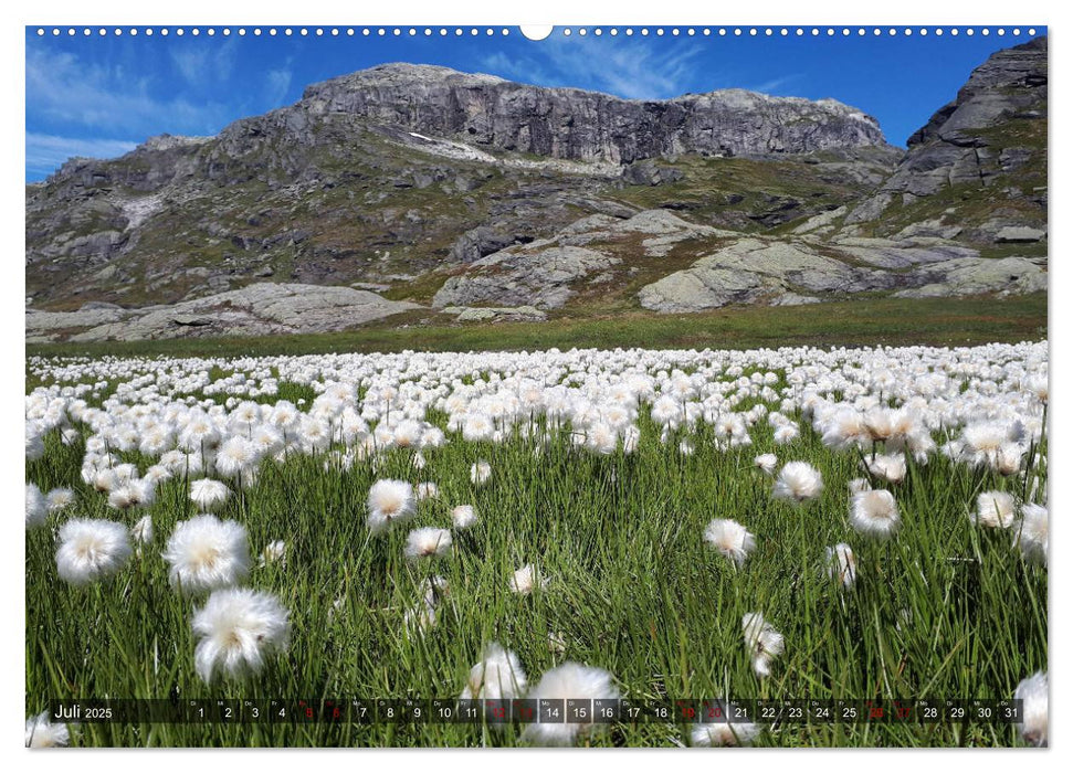 Norwegen 2025 - Berge, Fjorde, Moore (CALVENDO Premium Wandkalender 2025)