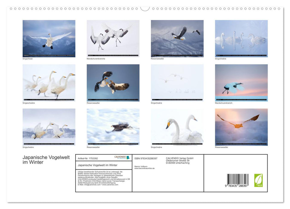 Japanische Vogelwelt im Winter (CALVENDO Premium Wandkalender 2025)