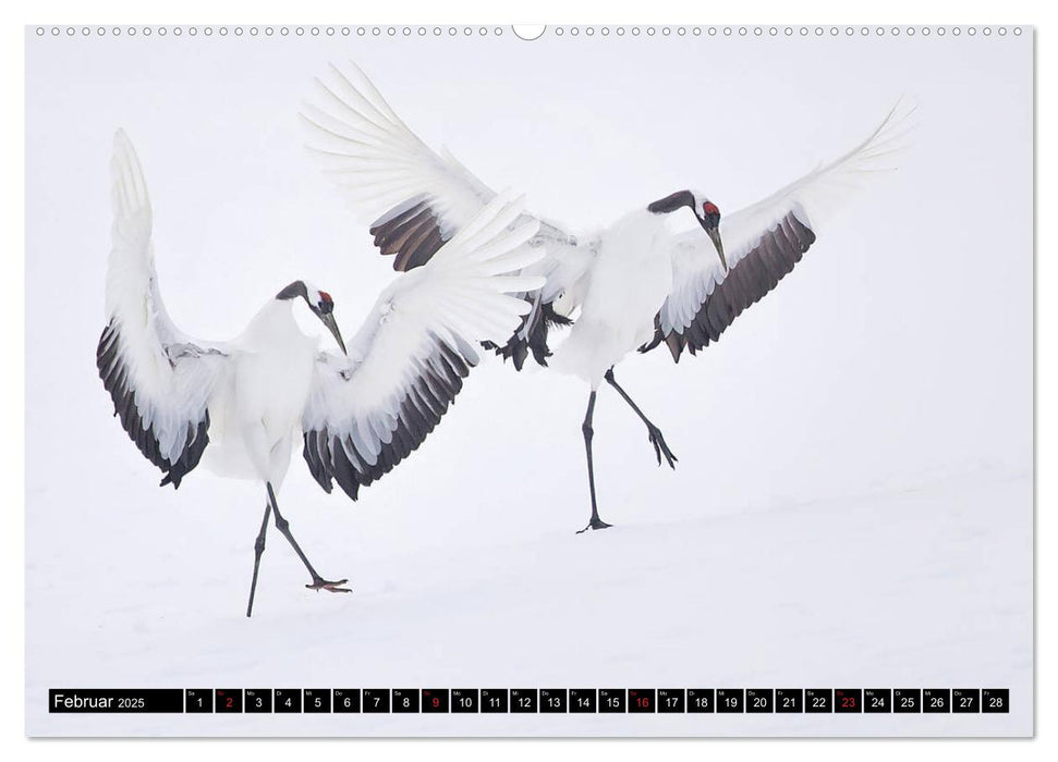 Japanische Vogelwelt im Winter (CALVENDO Premium Wandkalender 2025)