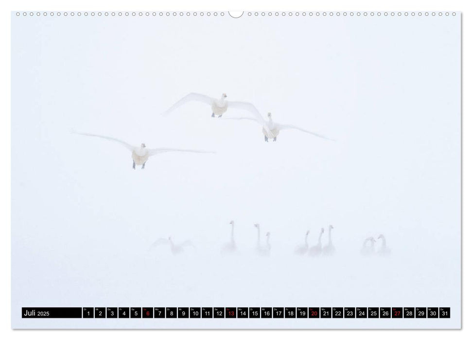 Japanische Vogelwelt im Winter (CALVENDO Premium Wandkalender 2025)