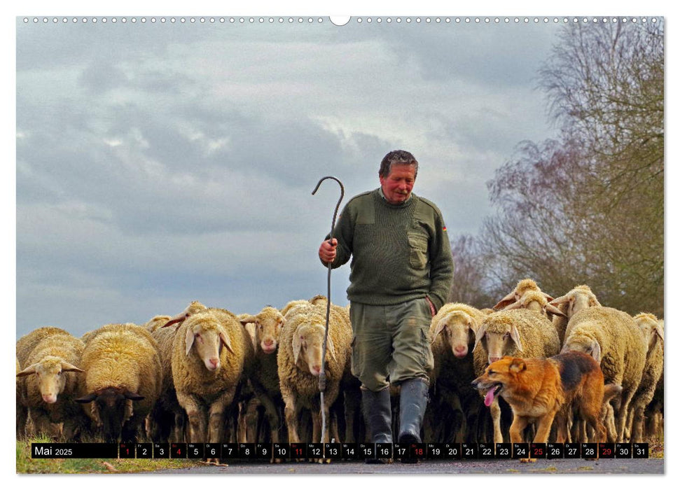 Schwalmstadt (CALVENDO Premium Wandkalender 2025)