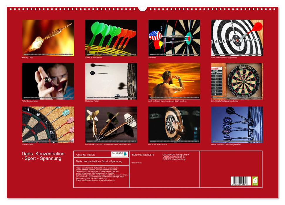 Darts. Konzentration - Sport - Spannung (CALVENDO Wandkalender 2025)