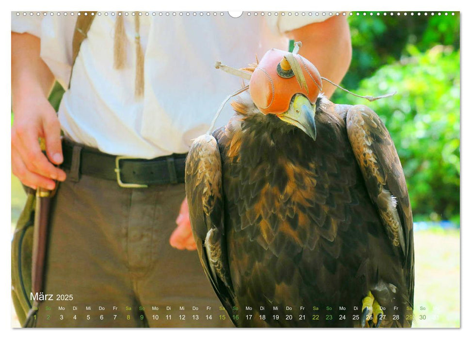 Jagdvögel (CALVENDO Premium Wandkalender 2025)