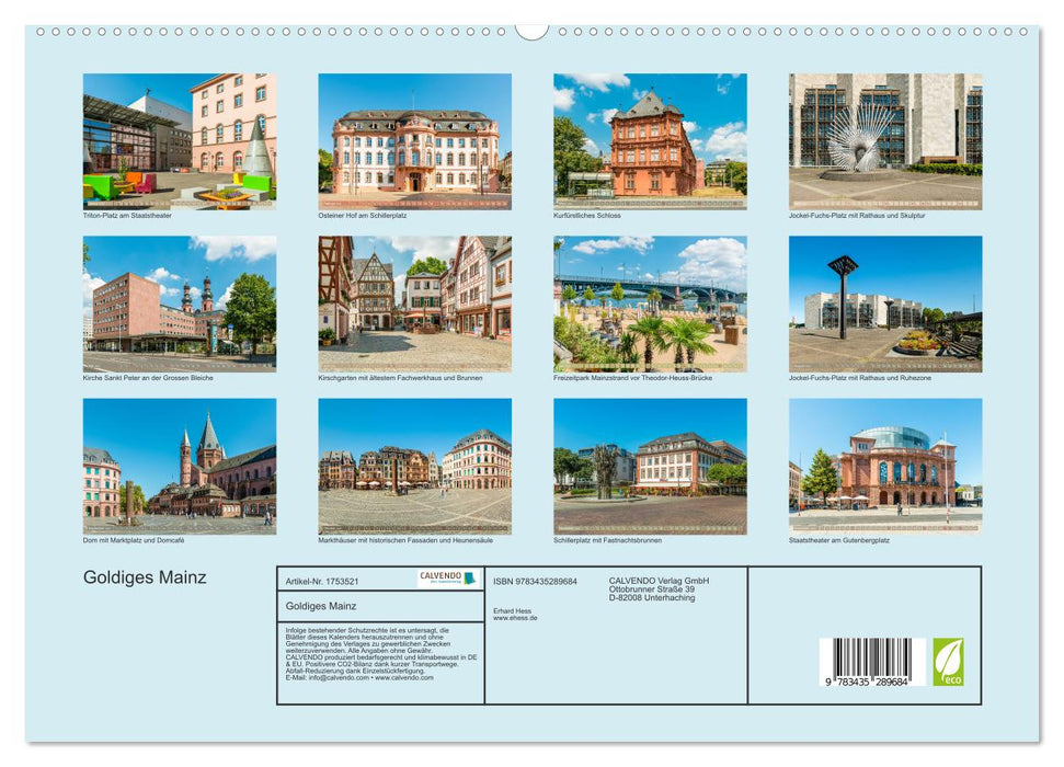 Goldiges Mainz (CALVENDO Premium Wandkalender 2025)