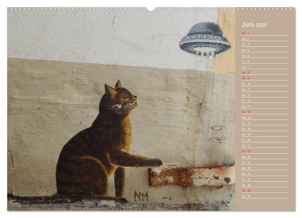 Flensburger Katzen (CALVENDO Wandkalender 2025)