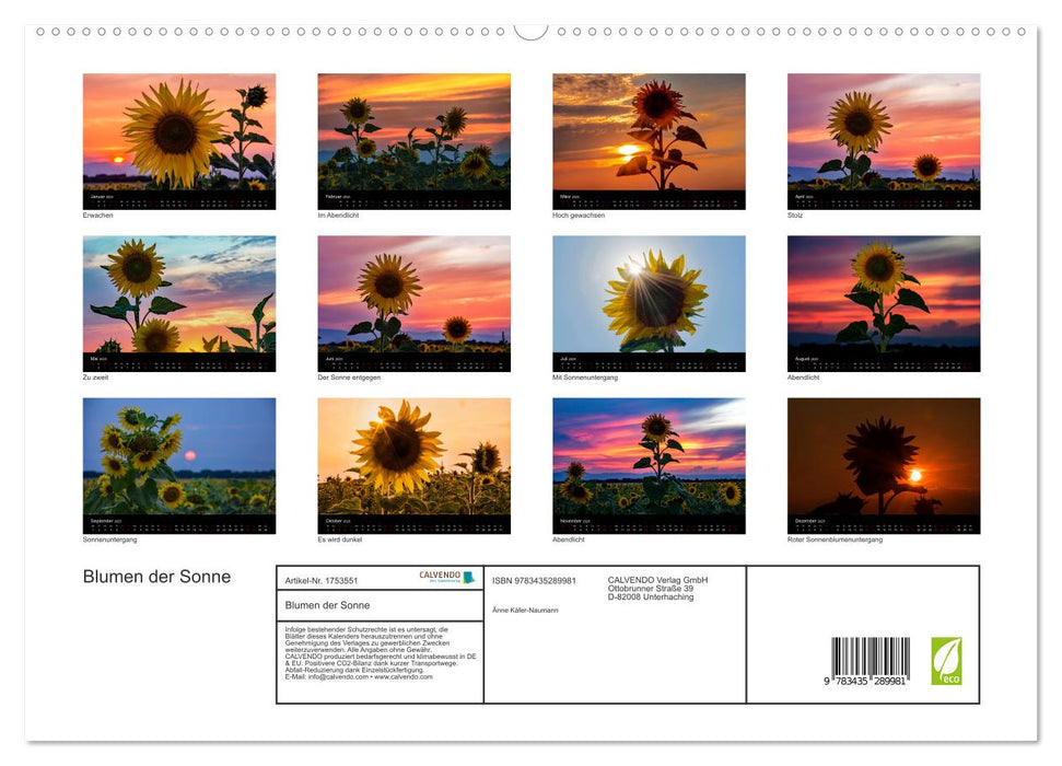 Blumen der Sonne (CALVENDO Premium Wandkalender 2025)