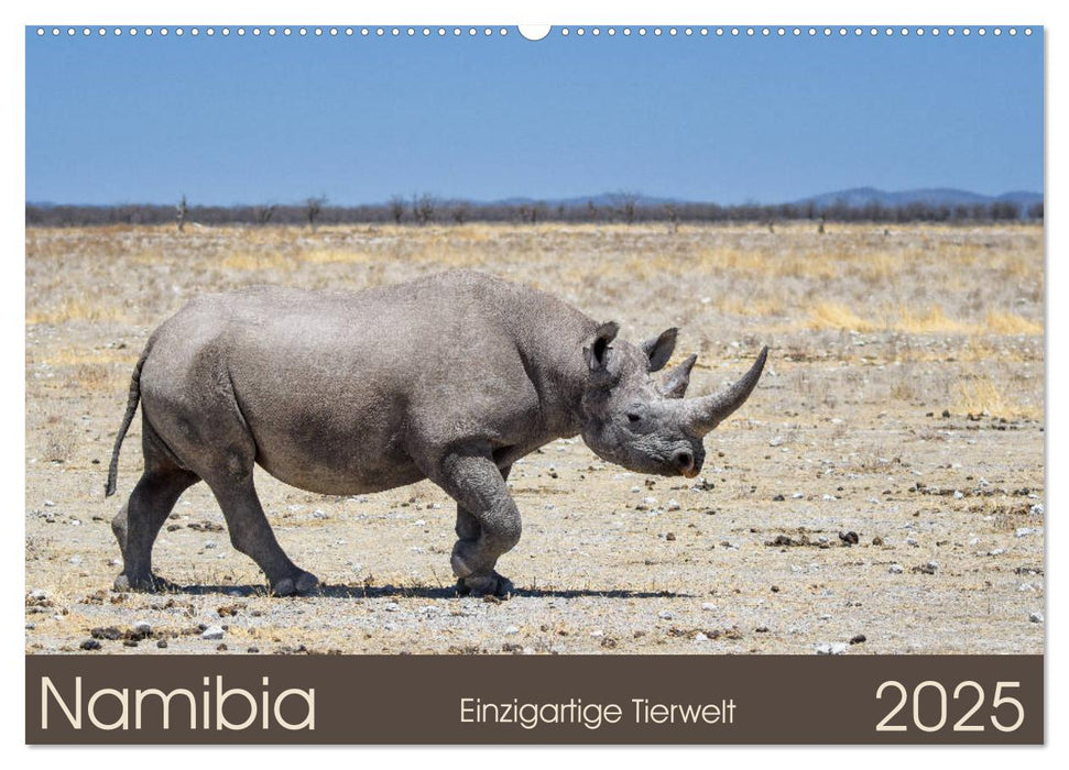 Namibia - einzigartige Tierwelt (CALVENDO Wandkalender 2025)