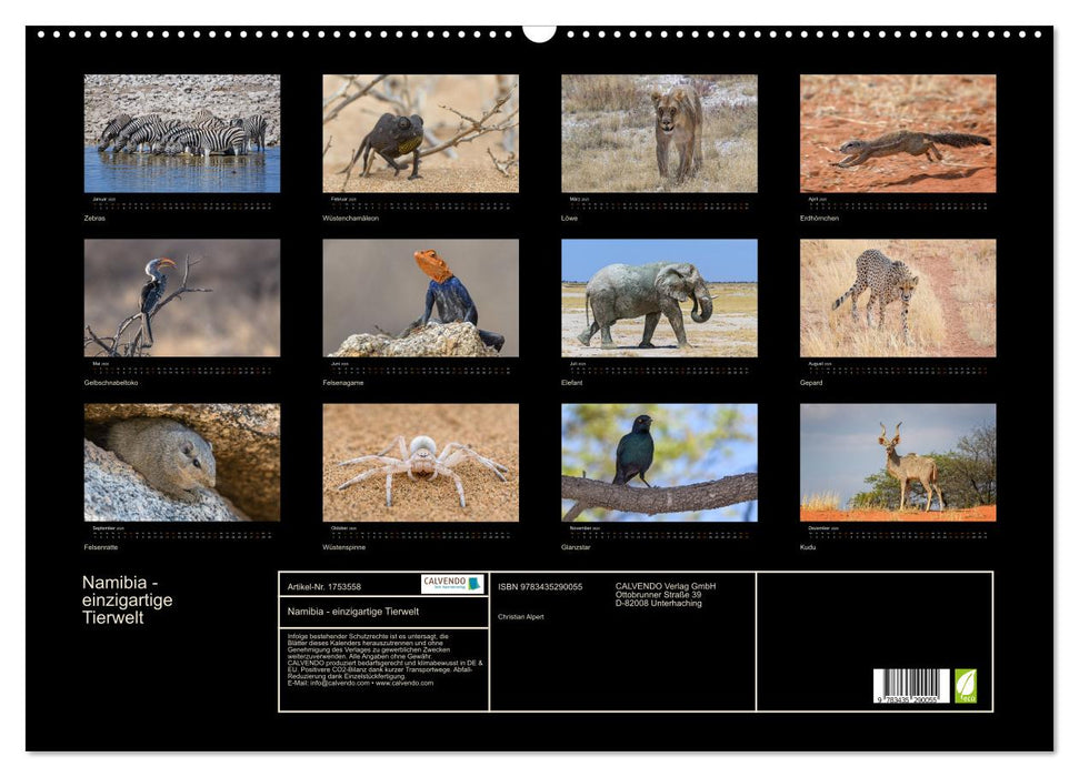 Namibia - einzigartige Tierwelt (CALVENDO Wandkalender 2025)