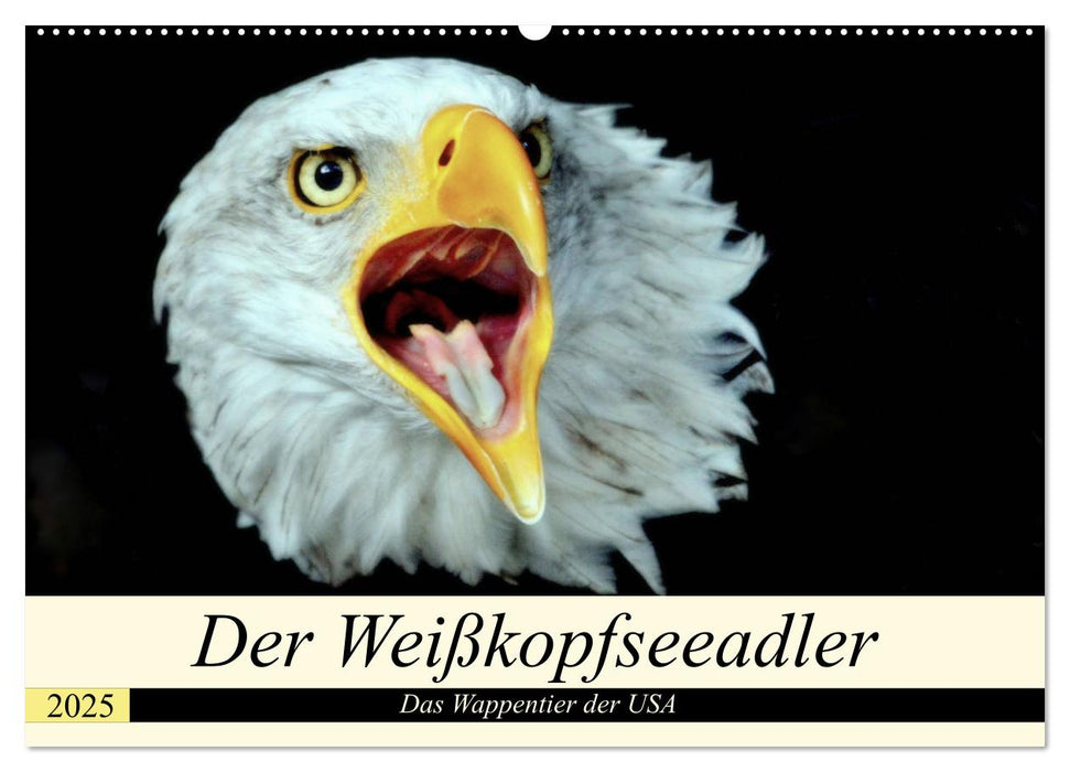 Der Weißkopfseeadler - Das Wappentier der USA (CALVENDO Wandkalender 2025)