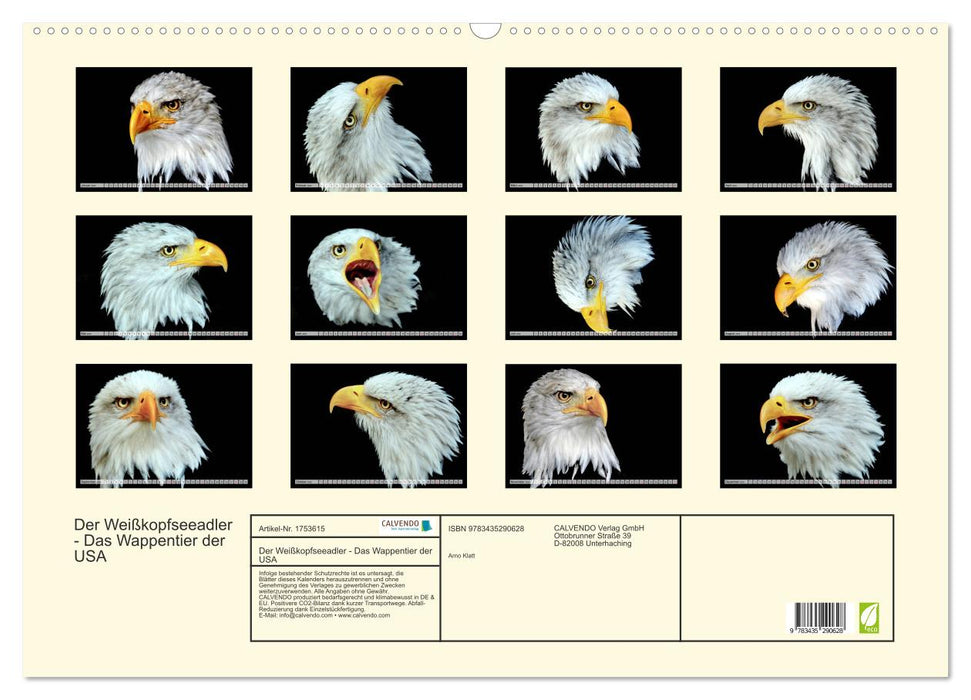 Der Weißkopfseeadler - Das Wappentier der USA (CALVENDO Wandkalender 2025)