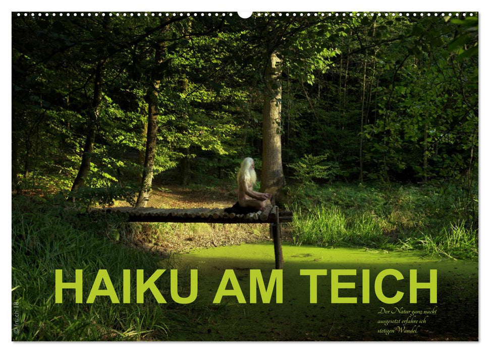 HAIKU AM TEICH (CALVENDO Wandkalender 2025)