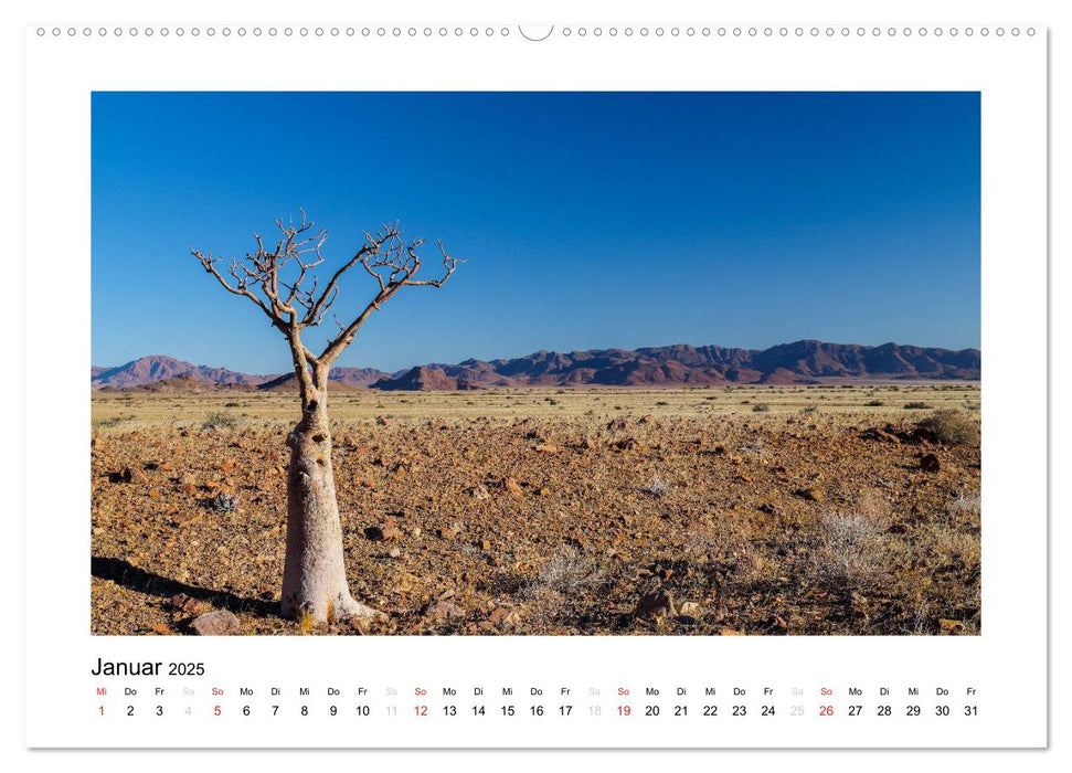 Namibia - Wüsten, Weite, Farben (CALVENDO Wandkalender 2025)