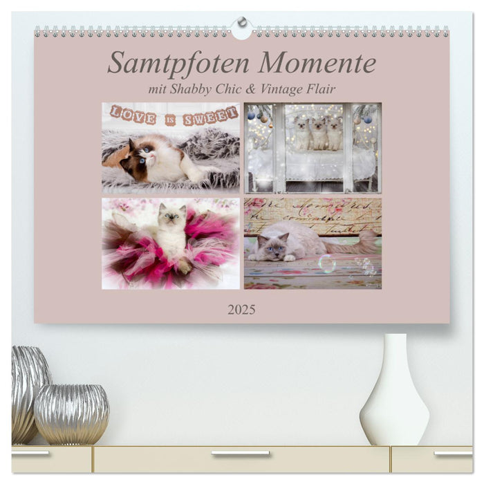 Samtpfoten Momente mit Shabby Chic & Vintage Flair (CALVENDO Premium Wandkalender 2025)