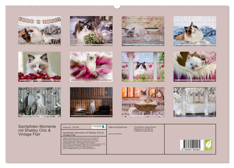 Samtpfoten Momente mit Shabby Chic & Vintage Flair (CALVENDO Premium Wandkalender 2025)