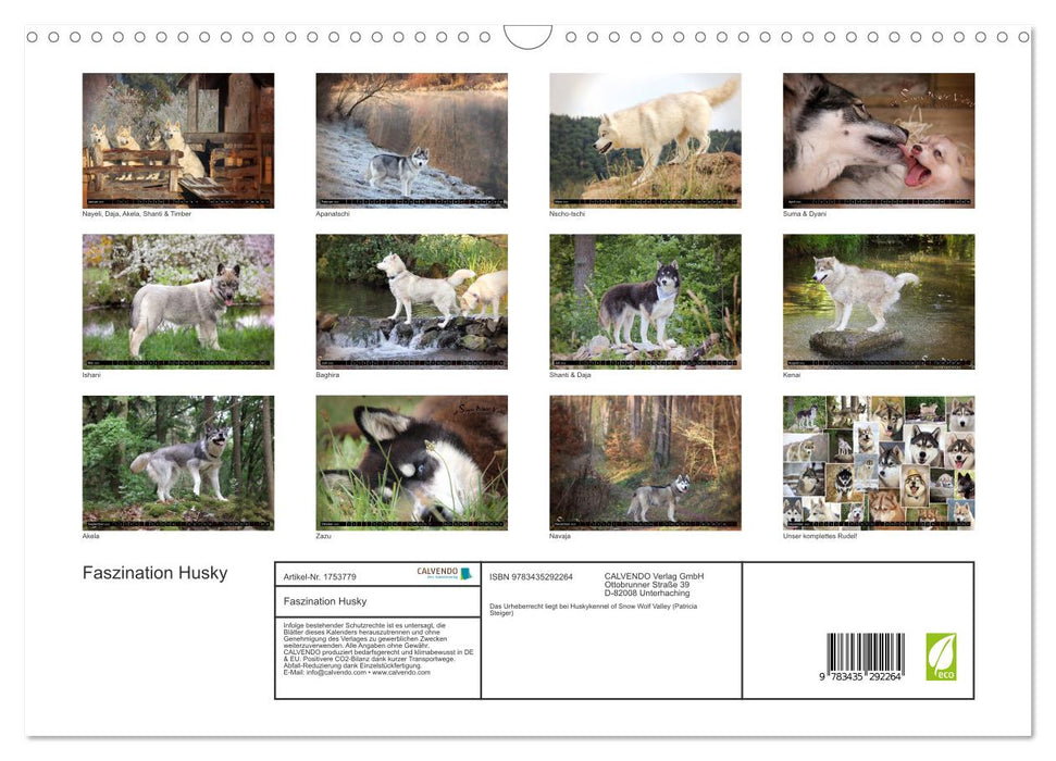 Faszination Husky (CALVENDO Wandkalender 2025)