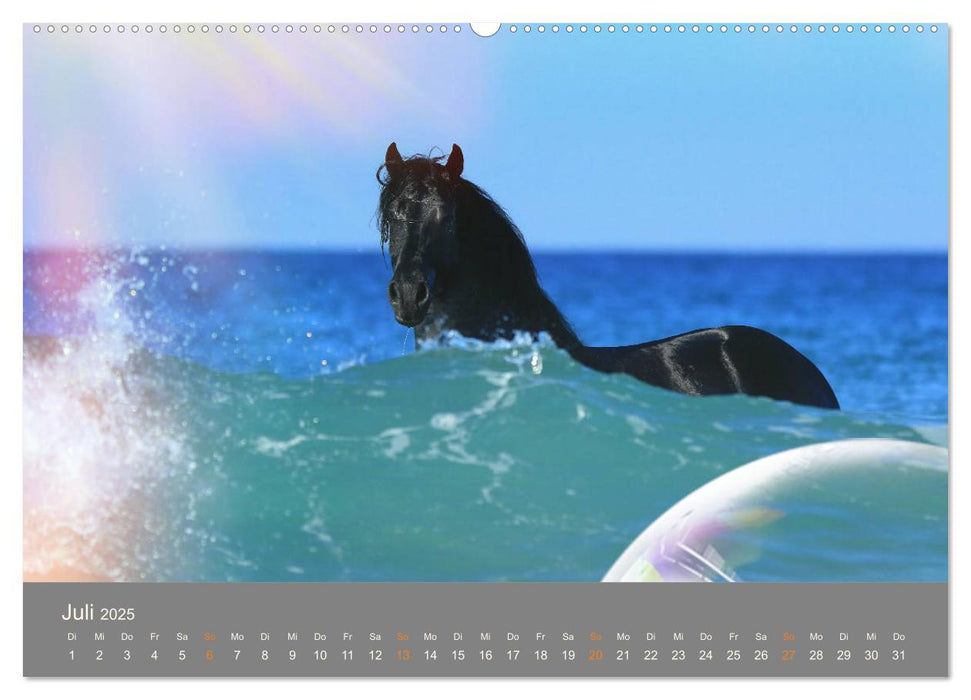 FANTASY Pferde Horses Caballos (CALVENDO Premium Wandkalender 2025)