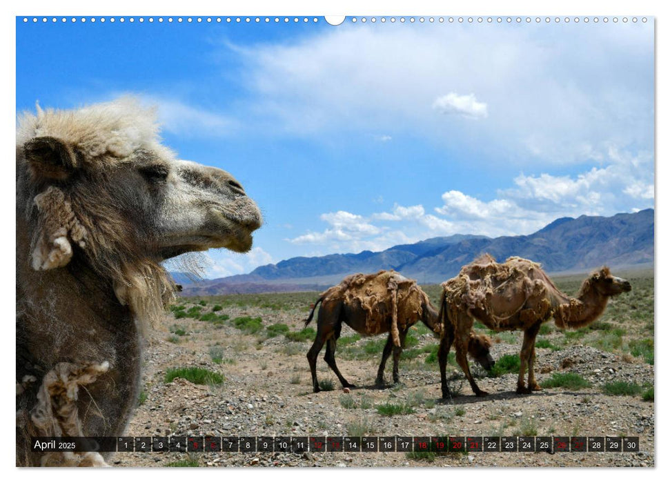 Kirgisistan Tadschikistan Afghanistan Pamir Highway Wakhan Korridor (CALVENDO Premium Wandkalender 2025)