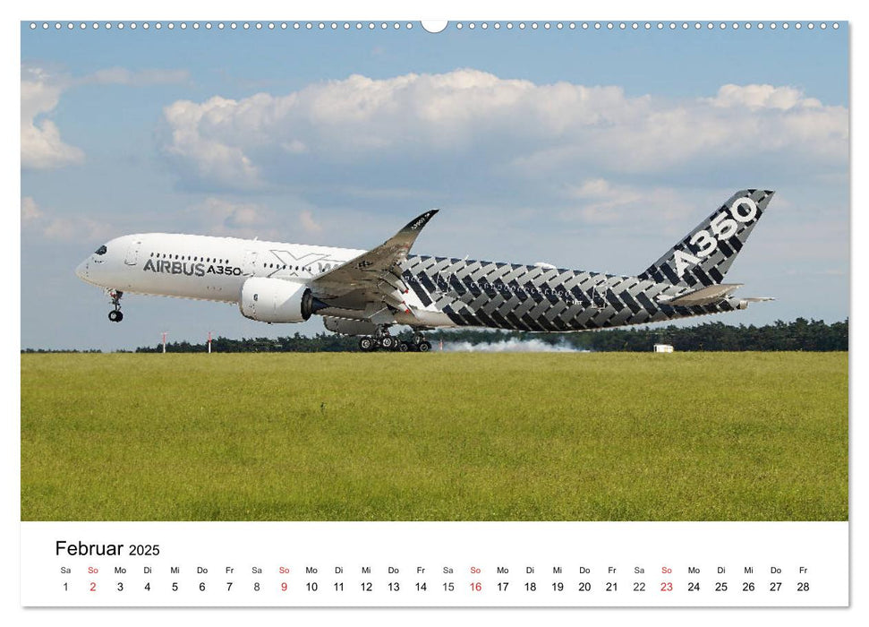 Die schönsten Airliner (CALVENDO Premium Wandkalender 2025)