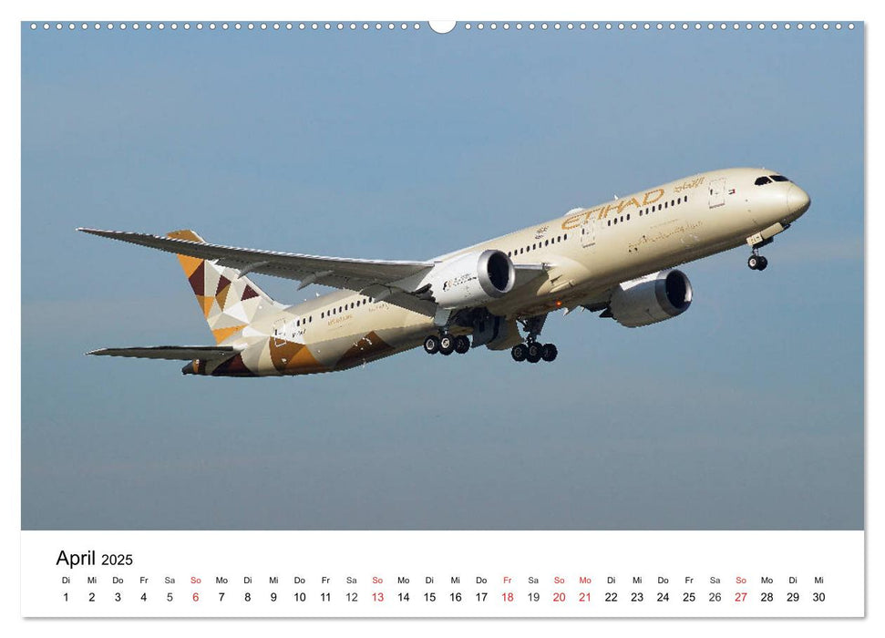 Die schönsten Airliner (CALVENDO Premium Wandkalender 2025)