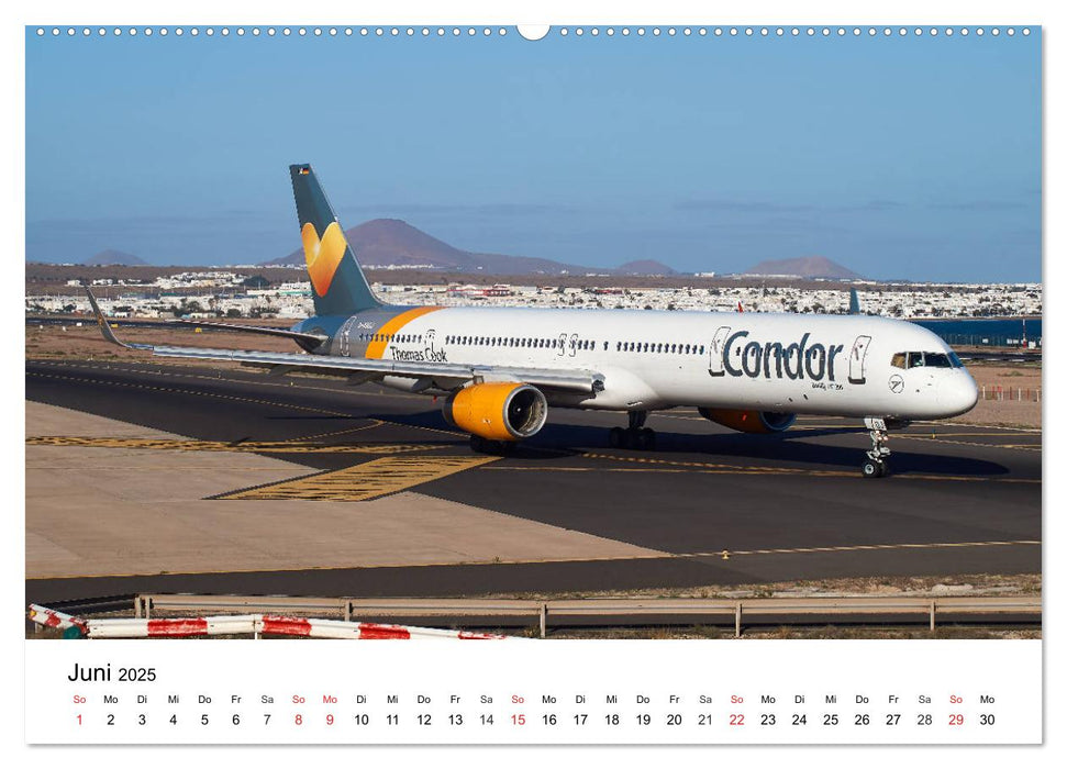 Die schönsten Airliner (CALVENDO Premium Wandkalender 2025)