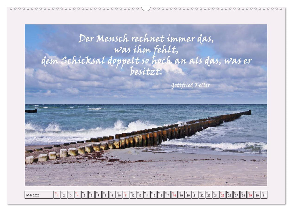 Zitate und Weisheiten (CALVENDO Premium Wandkalender 2025)