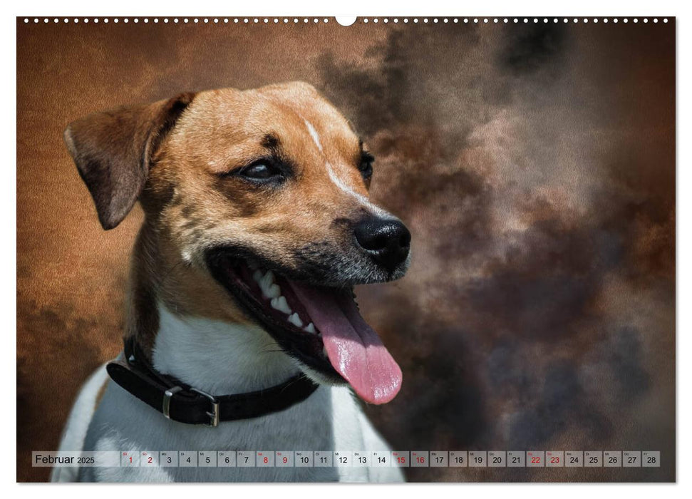 Jagdhunde im Portrait (CALVENDO Wandkalender 2025)