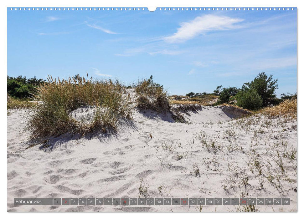 Fischland Darß Zingst - wie gemalt (CALVENDO Premium Wandkalender 2025)