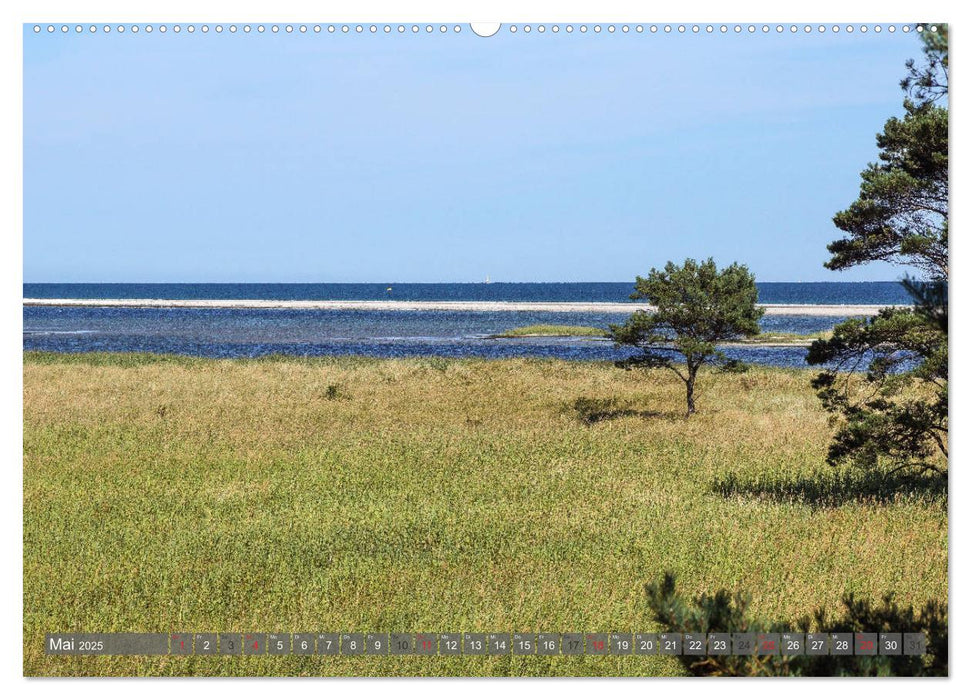 Fischland Darß Zingst - wie gemalt (CALVENDO Premium Wandkalender 2025)