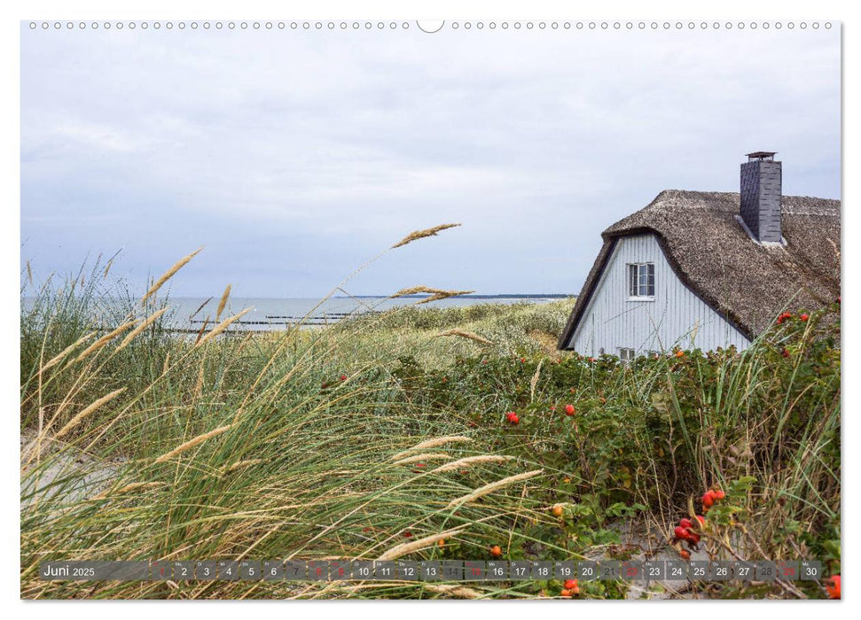 Fischland Darß Zingst - wie gemalt (CALVENDO Premium Wandkalender 2025)