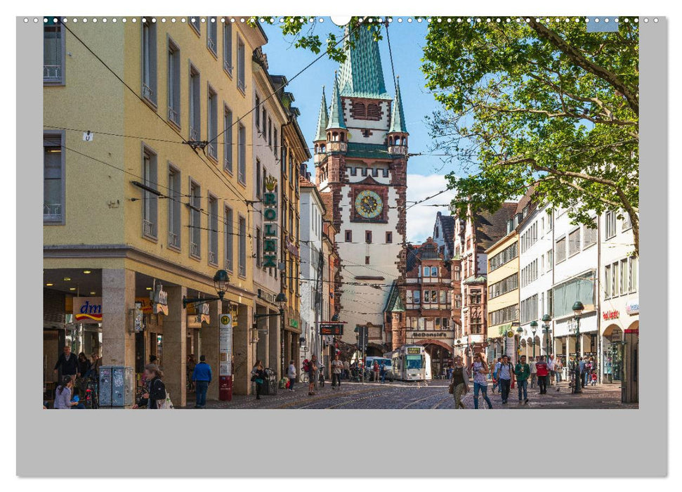 Freiburg im Breisgau. Malerische Stadt am Rande des Schwarzwaldes (CALVENDO Premium Wandkalender 2025)