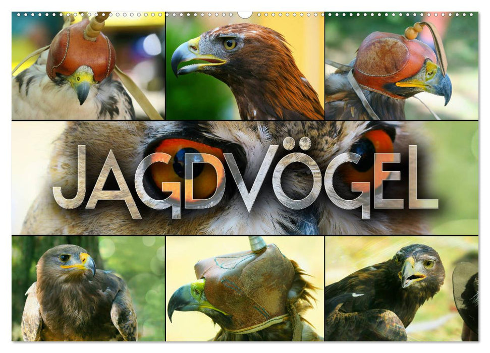 Jagdvögel (CALVENDO Wandkalender 2025)