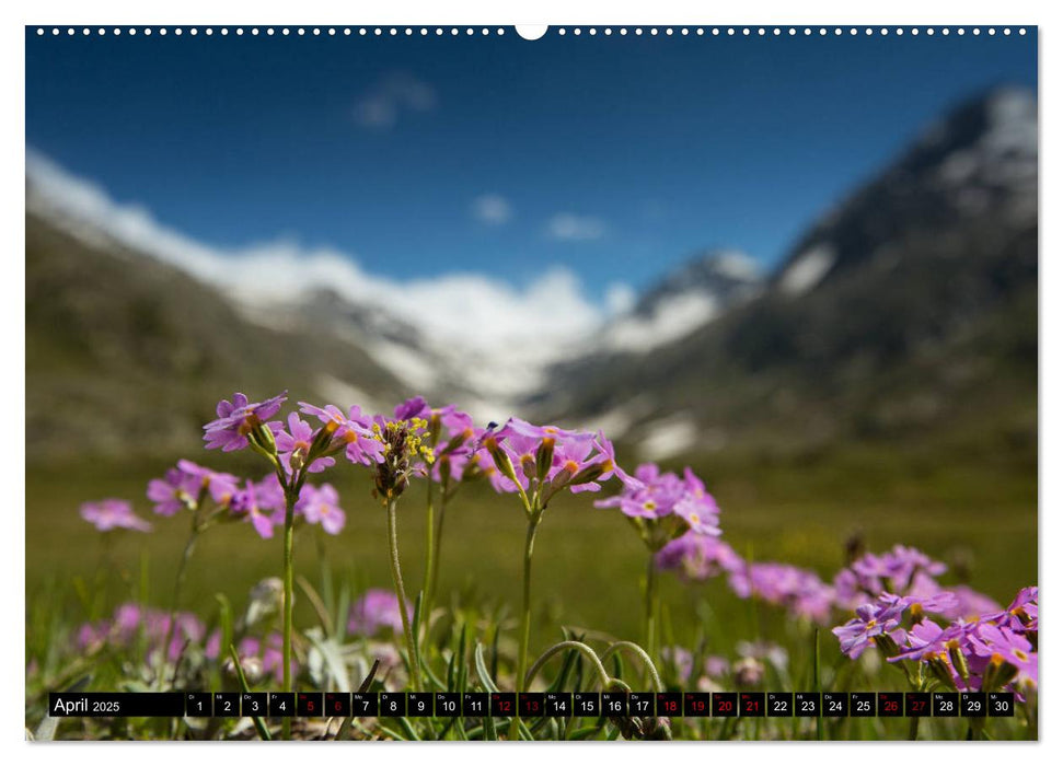 Nationalpark Gran Paradiso (CALVENDO Premium Wandkalender 2025)