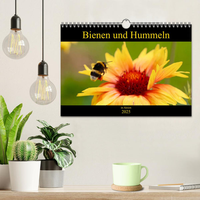 Bienen und Hummeln in Aktion (CALVENDO Wandkalender 2025)