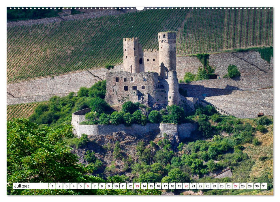 Eine Reise im Rheingau vom Frankfurter Taxifahrer Petrus Bodenstaff (CALVENDO Premium Wandkalender 2025)