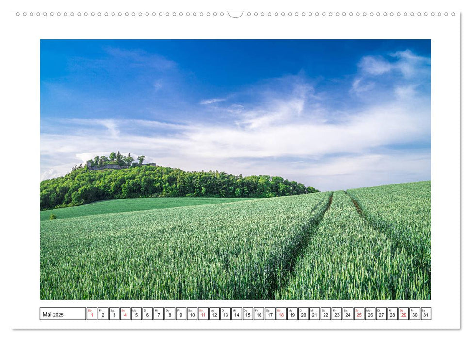 Hegau´s Vulkanlandschaft (CALVENDO Premium Wandkalender 2025)