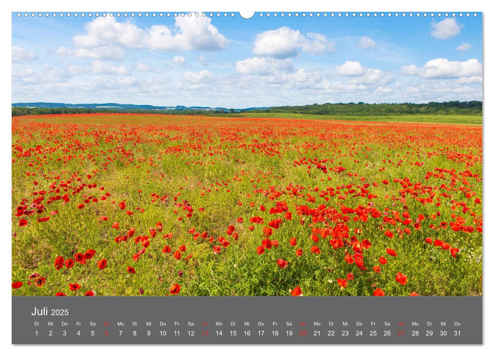 Schönes Meck-Pomm (CALVENDO Premium Wandkalender 2025)