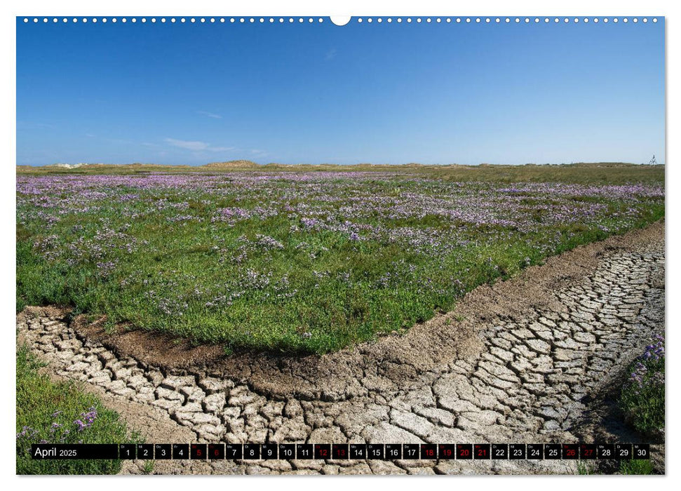 Norderney - von barfuss bis Cocktail (CALVENDO Premium Wandkalender 2025)