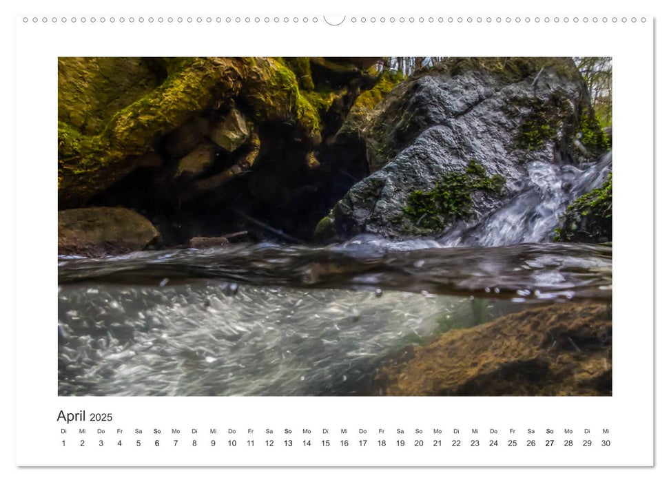 Unter Wasser in Bächen und Flüssen (CALVENDO Premium Wandkalender 2025)