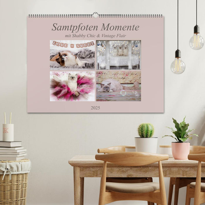 Samtpfoten Momente mit Shabby Chic & Vintage Flair (CALVENDO Wandkalender 2025)