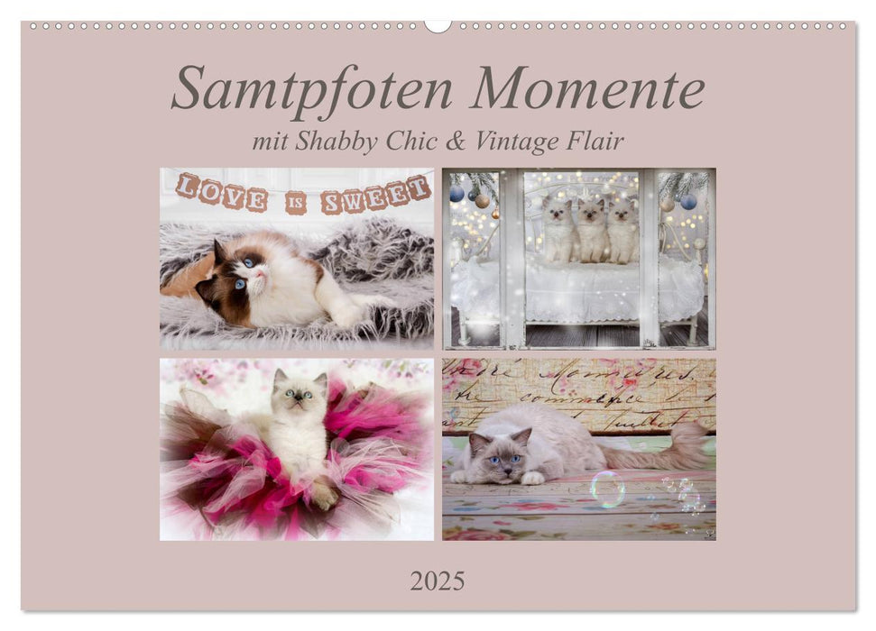 Samtpfoten Momente mit Shabby Chic & Vintage Flair (CALVENDO Wandkalender 2025)