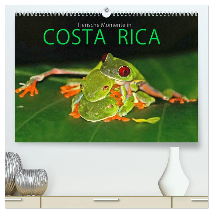 COSTA RICA - Tierische Momente (CALVENDO Premium Wandkalender 2025)