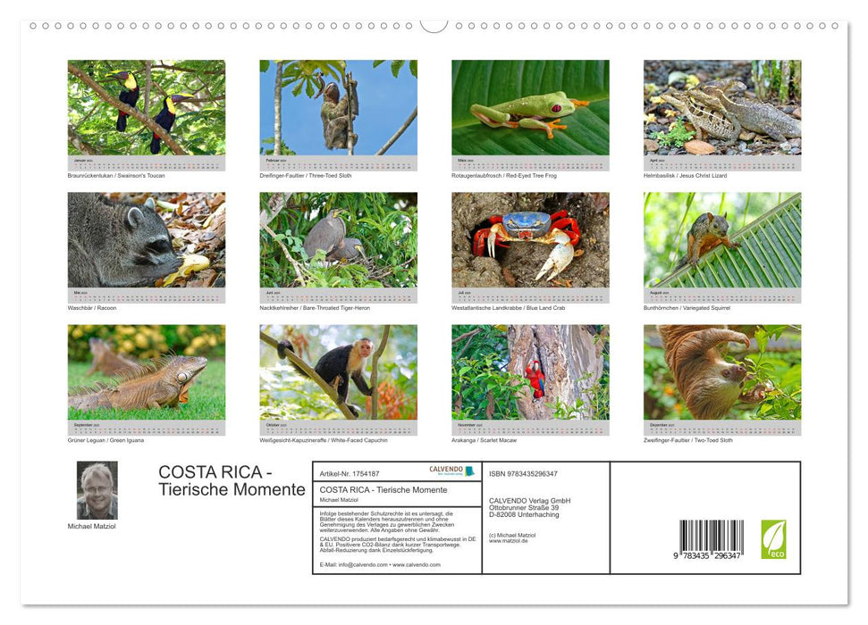 COSTA RICA - Tierische Momente (CALVENDO Premium Wandkalender 2025)