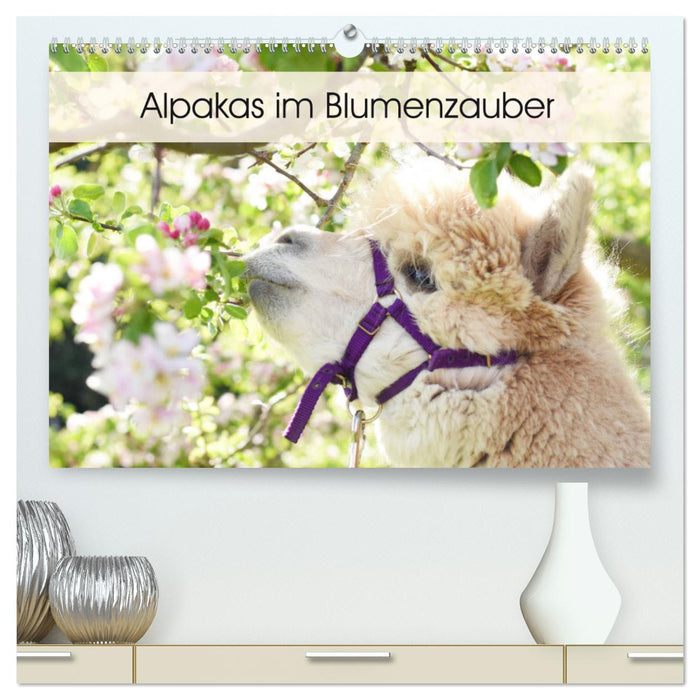 Alpakas im Blumenzauber (CALVENDO Premium Wandkalender 2025)