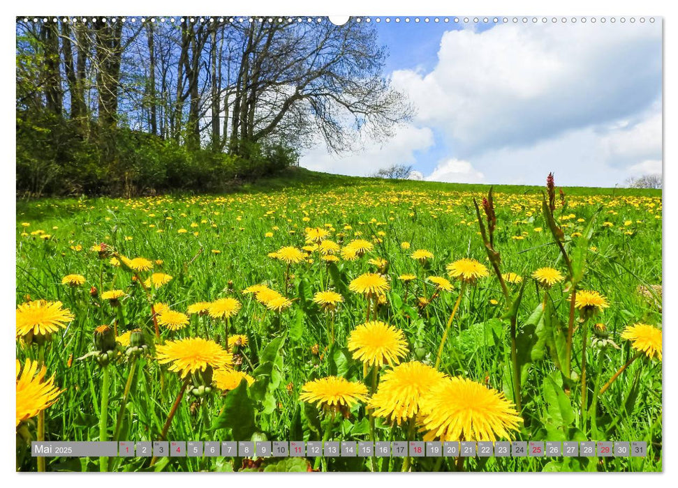 Wandern im Erzgebirge (CALVENDO Wandkalender 2025)