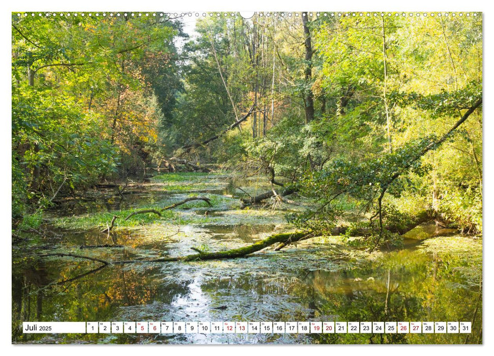 Fürstenfeldbruck - Streifzug durch Natur und Stadt (CALVENDO Premium Wandkalender 2025)