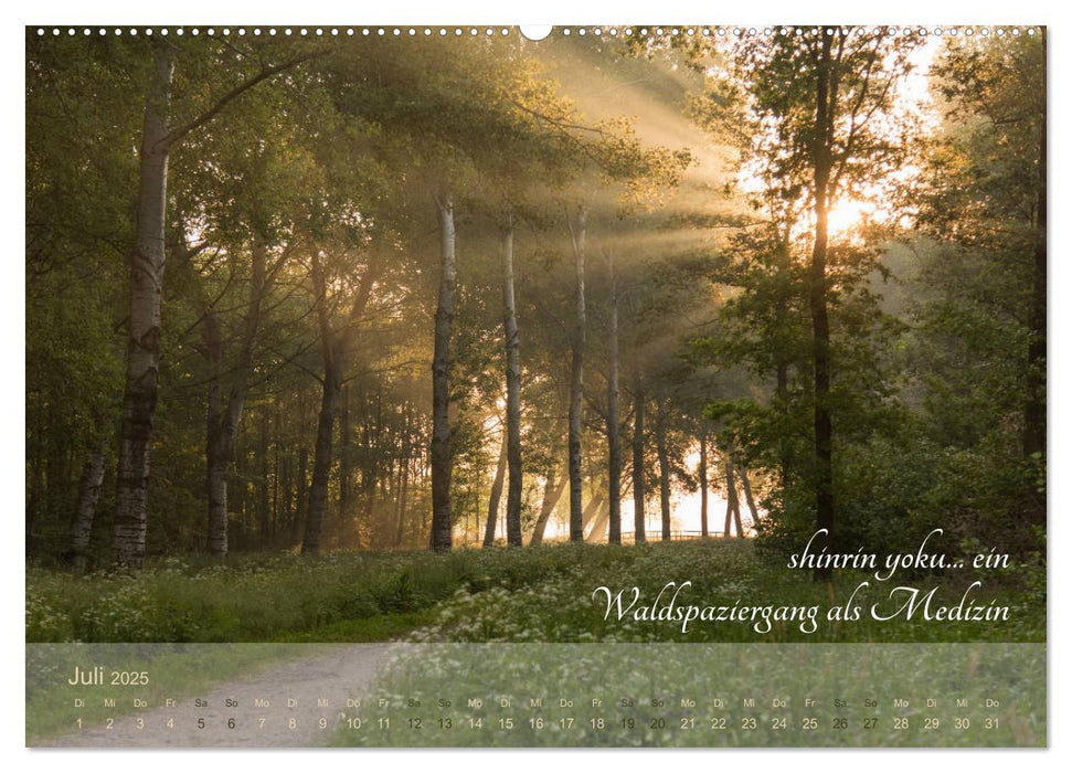 Shinrin yoku - Waldbaden 2025 (CALVENDO Premium Wandkalender 2025)